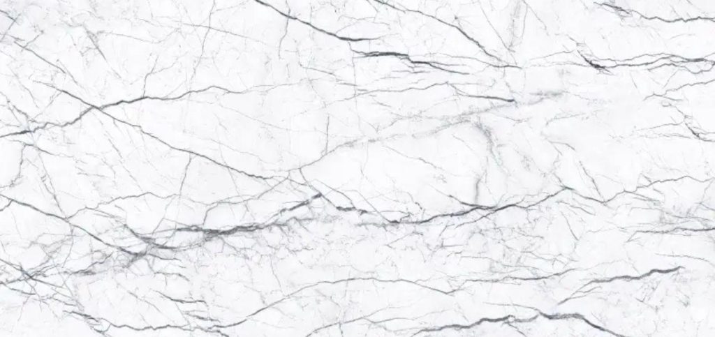 WhatsApp Image 2025-02-22 at 15.58.18